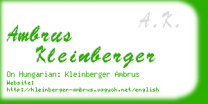 ambrus kleinberger business card